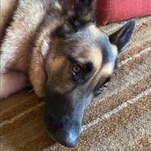 Meet your Posher, Tina